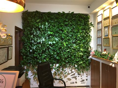Grădină verticală cu plante naturale – Hotel Drăgului, foto 10 din 10